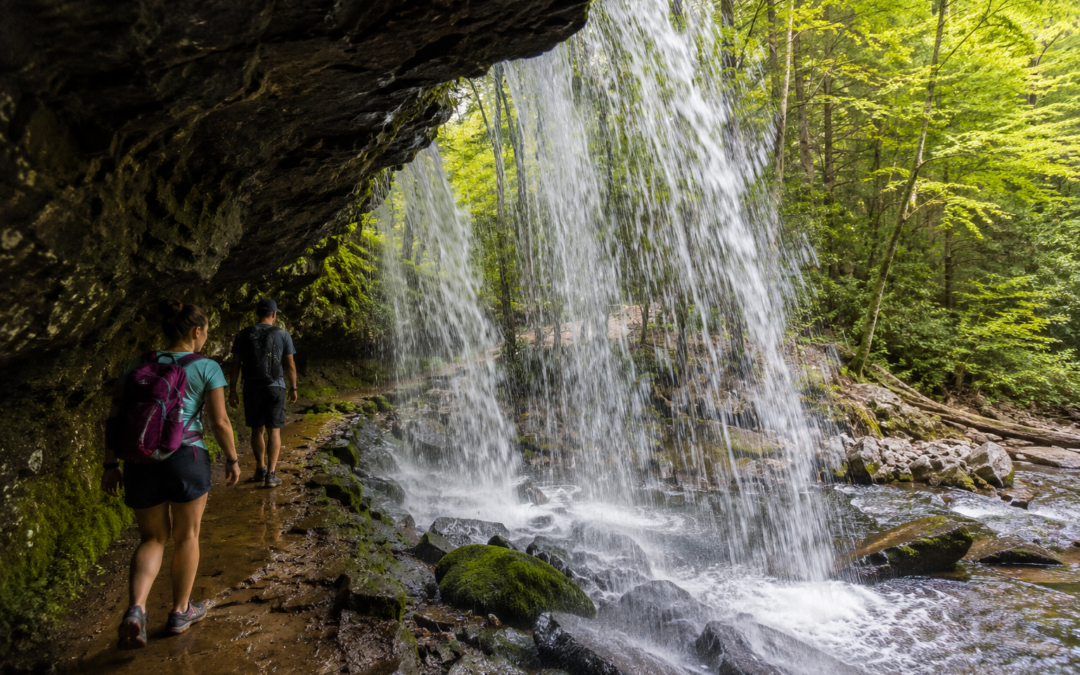 Top Waterfalls Near Gatlinburg You Can Visit in One Day